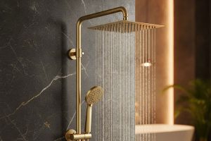 راهنمای خرید علم دوش